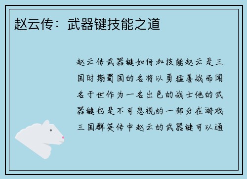 赵云传：武器键技能之道